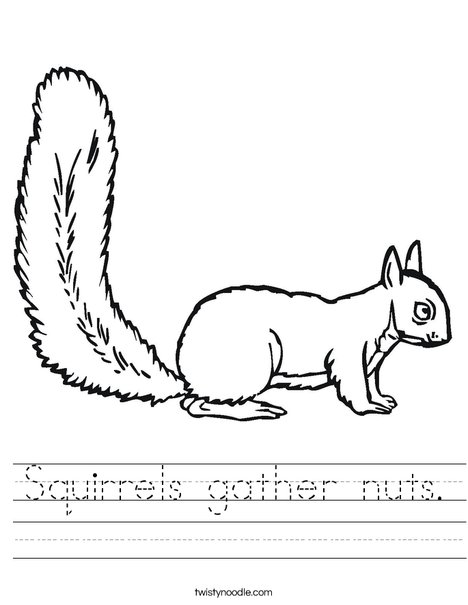 Squirrels gather nuts Worksheet - Twisty Noodle