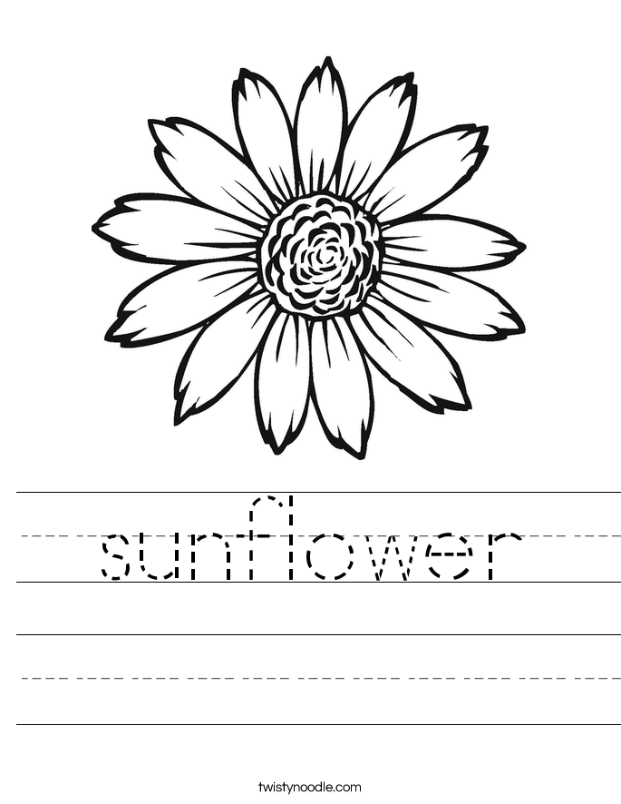 sunflower Worksheet - Twisty Noodle