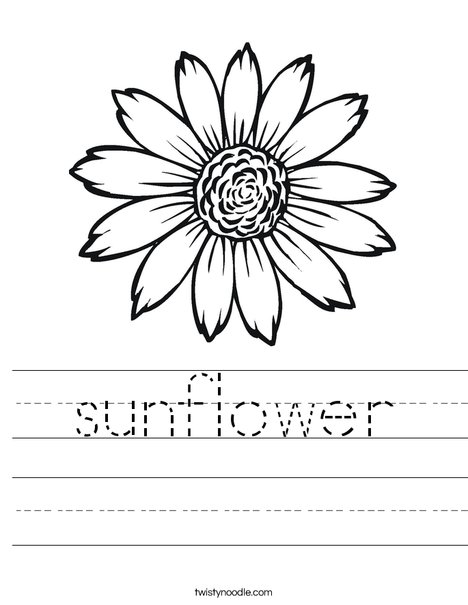 sunflower Worksheet - Twisty Noodle