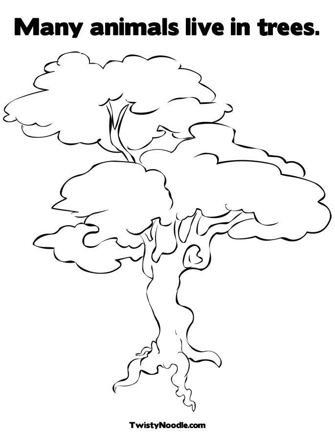 oak tree coloring pages - photo #36