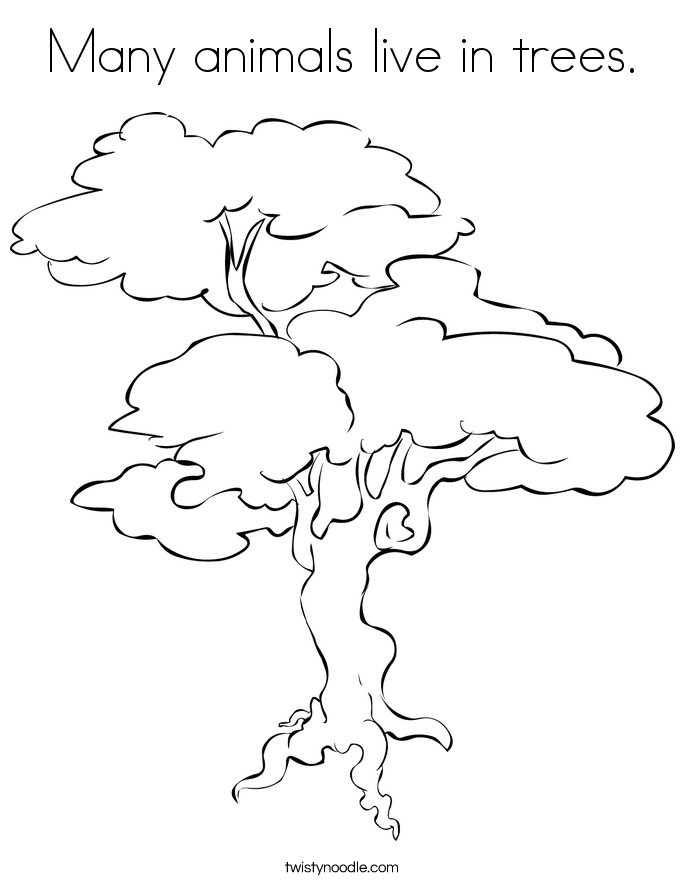 Many Animals Coloring Pages : Many animals live in trees coloring page twisty noodle Many Animals Coloring Pages : Many animals live in trees coloring page twisty noodle