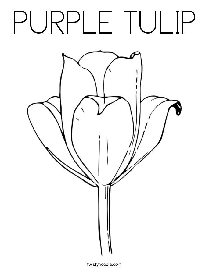PURPLE TULIP Coloring Page - Twisty Noodle