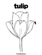 tulip Coloring Page