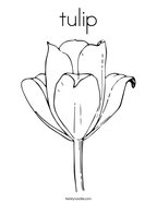 tulip Coloring Page