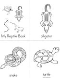 My Reptile Book