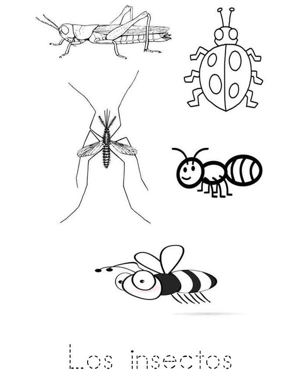 Los insectos Mini Book - Sheet 1