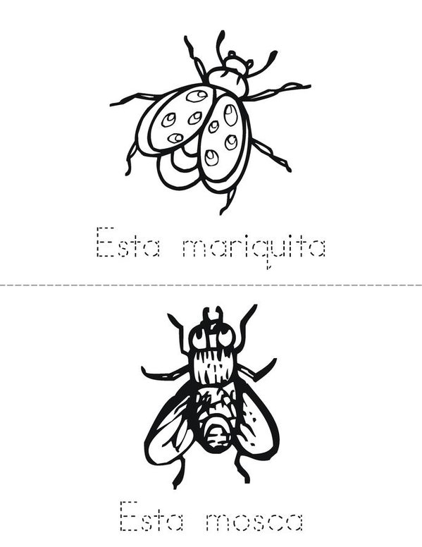 Los insectos Mini Book - Sheet 2