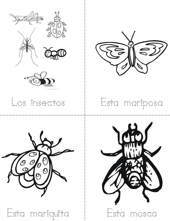 Los insectos Mini Book - Sheet 1