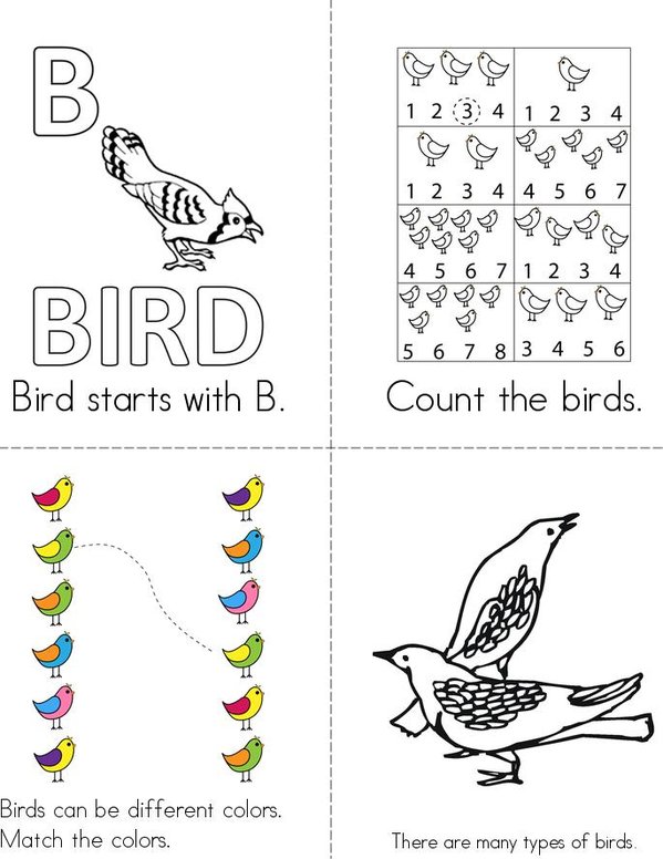 Birds Mini Book - Sheet 1