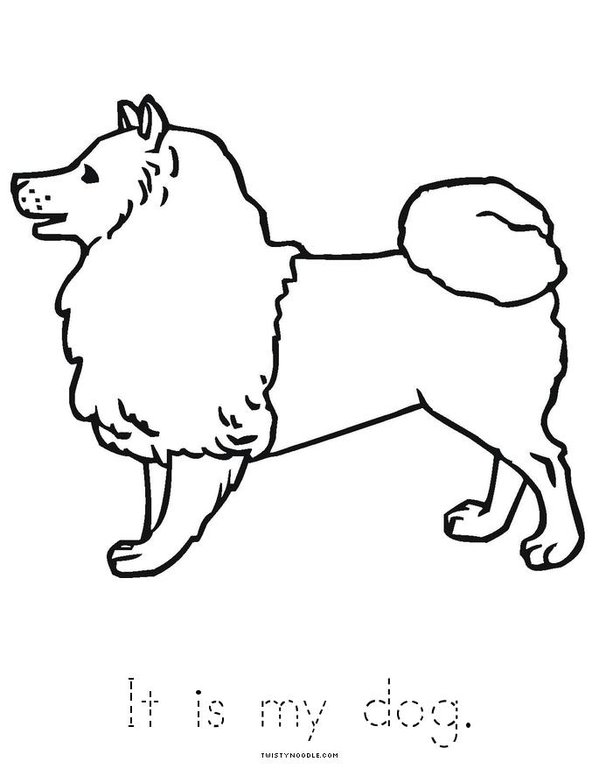 Trace, color and read each sentence. Mini Book - Sheet 4