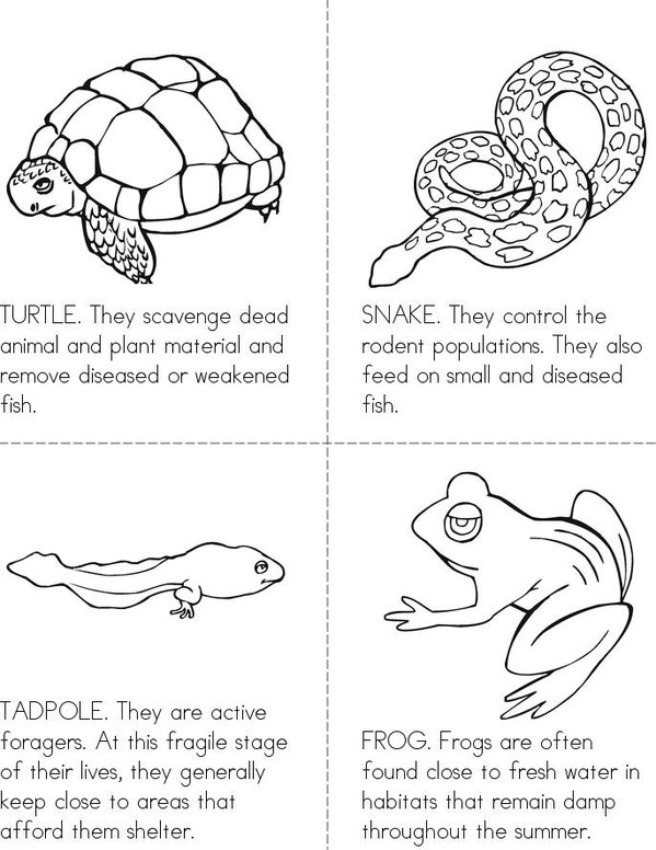 Life Around the Pond.  Mini Book - Sheet 1