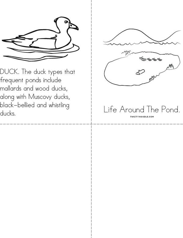 Life Around the Pond.  Mini Book - Sheet 2