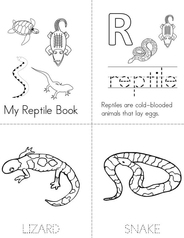 My Reptile Book  Mini Book - Sheet 1