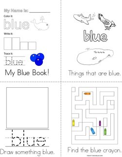 My Favorite Color is Blue! Book