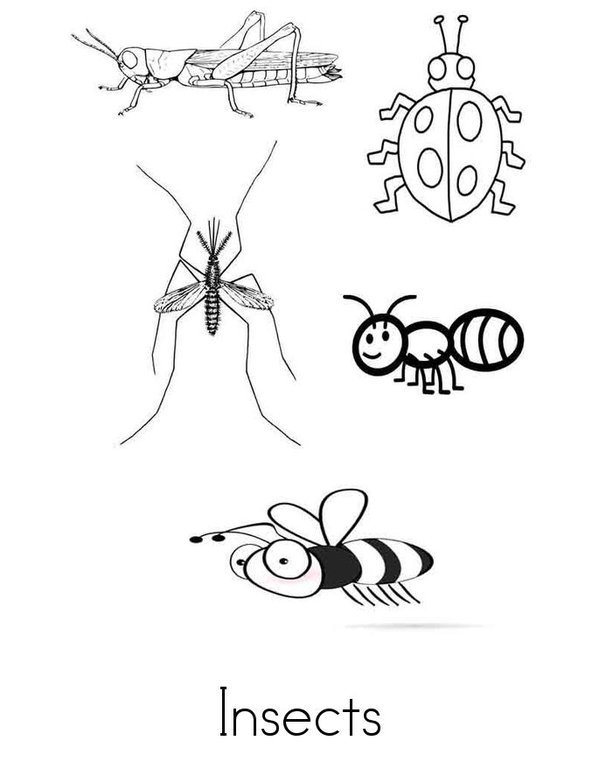 Insects Mini Book - Sheet 1
