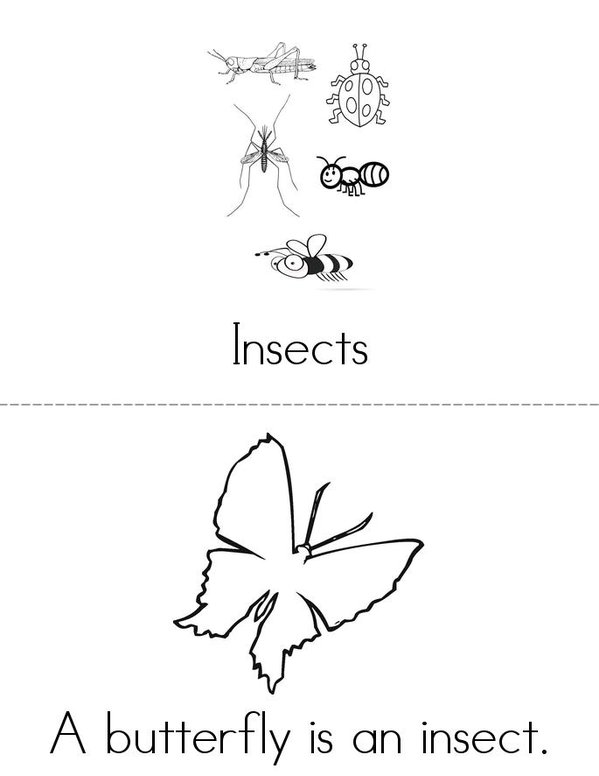Insects Mini Book - Sheet 1