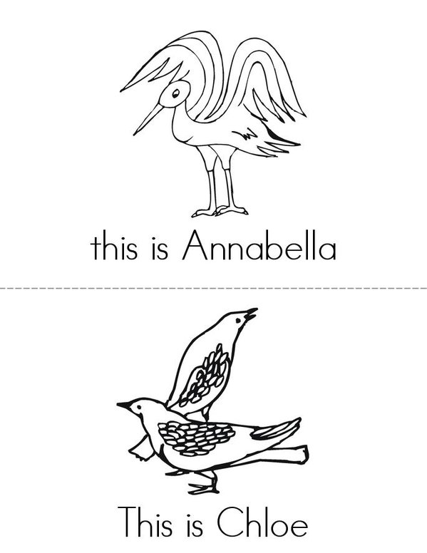 Birds Mini Book - Sheet 1