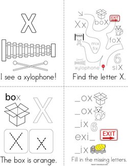 Letter X Words Book