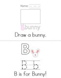 Bunny Activity Book