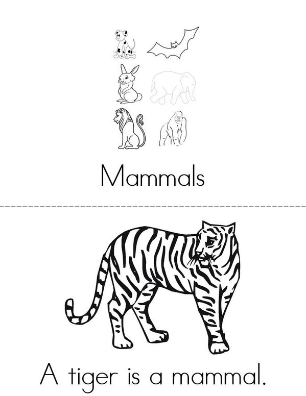 Mammals Mini Book - Sheet 1