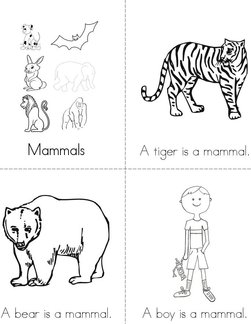 Mammals Book
