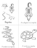 Reptiles Book