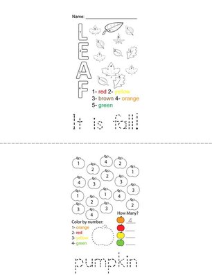 Fall Color By Number Book