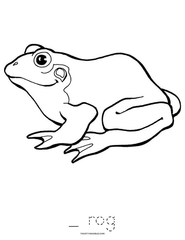 Frog Life Cycle Mini Book - Sheet 4
