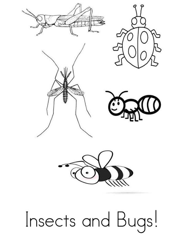 insect Mini Book - Sheet 1