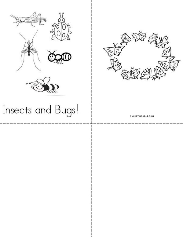 insect Mini Book