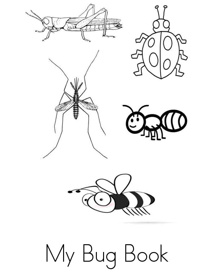 My Bug Book Twisty Noodle
