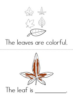 The Leaves are Colorful Book