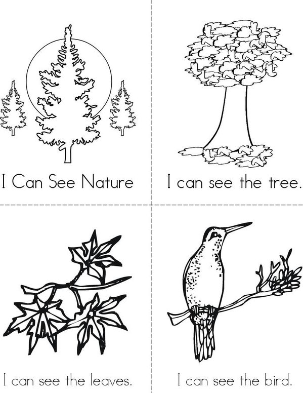 I Can See Nature Mini Book - Sheet 1