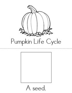 Pumpkin Life Cycle Book