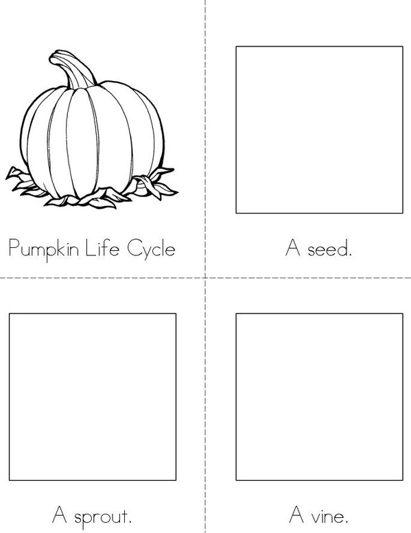 Pumpkin Life Cycle Mini Book - Sheet 1