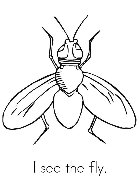 I See Bugs Mini Book - Sheet 5