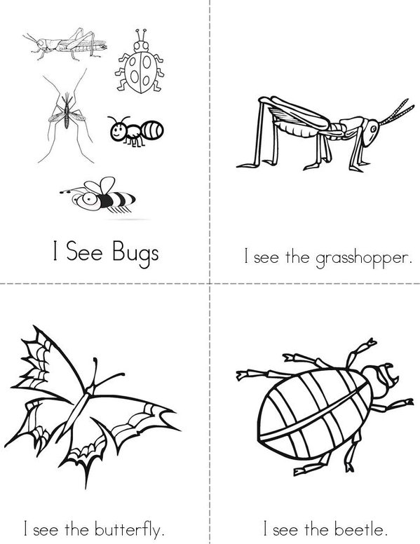I See Bugs Mini Book - Sheet 1