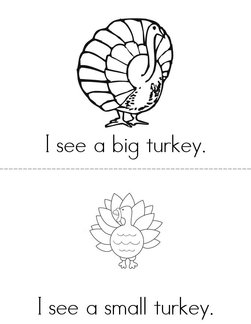 Turkeys! Book