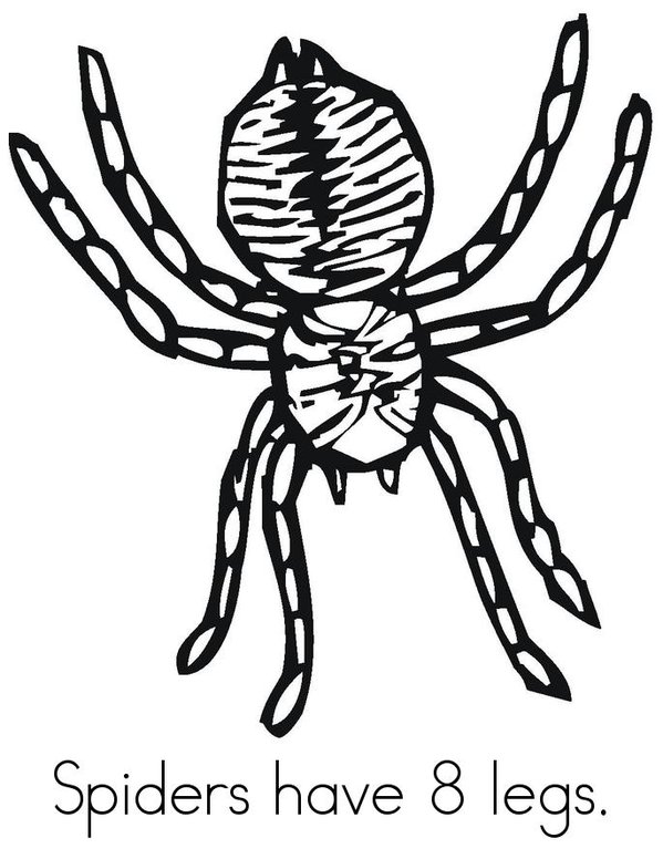 My Book About Spiders Mini Book - Sheet 2