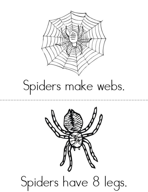 My Book About Spiders Mini Book - Sheet 1