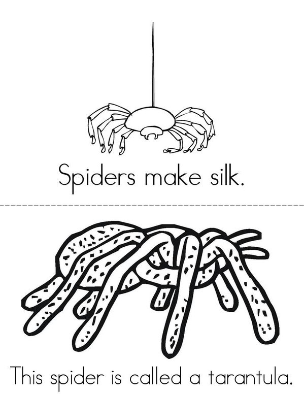 My Book About Spiders Mini Book - Sheet 2