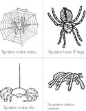 My Book About Spiders