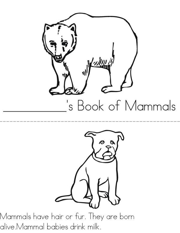 Mammals Mini Book - Sheet 1