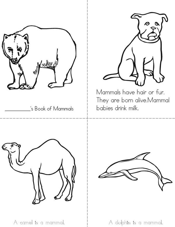 Mammals Mini Book - Sheet 1