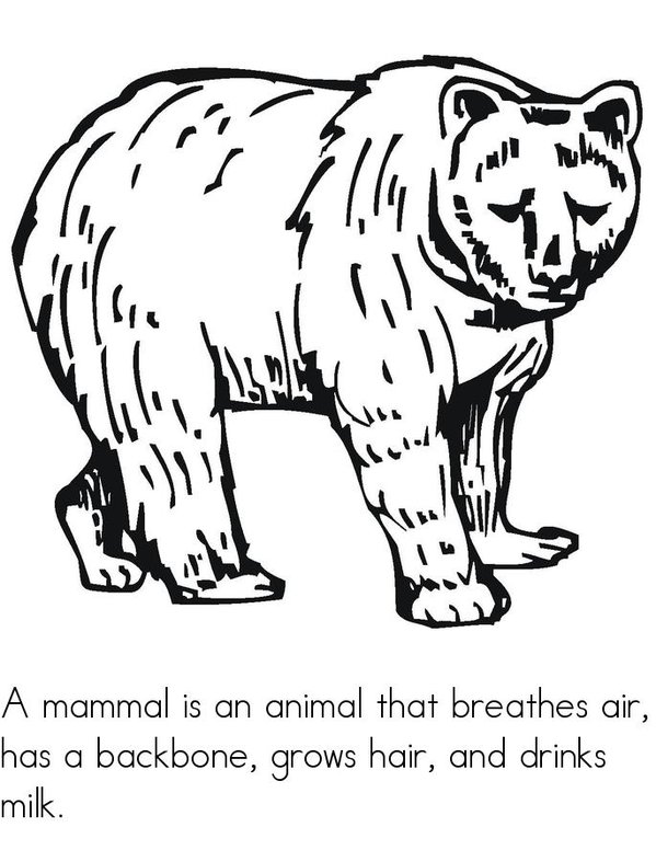 What is a mammal? Mini Book - Sheet 1