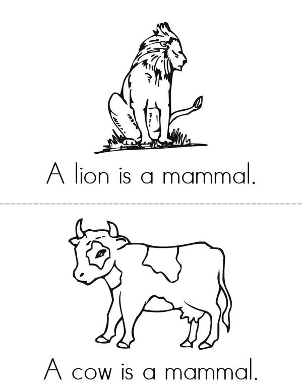 What is a mammal? Mini Book - Sheet 2