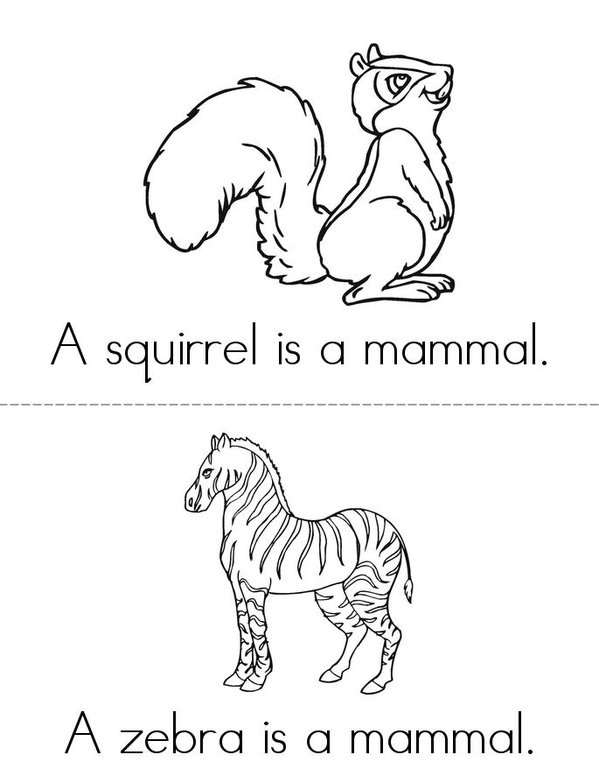 What is a mammal? Mini Book - Sheet 3