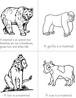 What is a mammal? Book