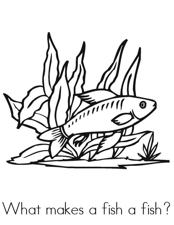 What Makes A Fish A Fish? Mini Book - Sheet 1