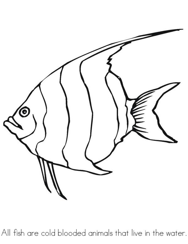 What Makes A Fish A Fish? Mini Book - Sheet 2